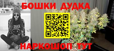 стафф Заволжье