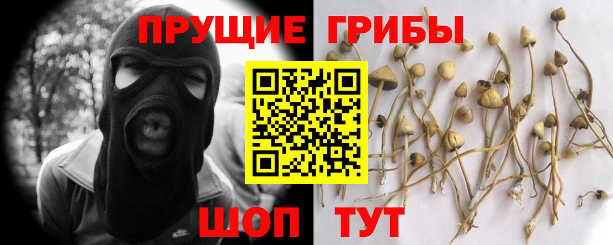 Псилоцибиновые грибы ЛСД Кызыл